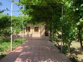 Nasrulla Samarqand Hotel